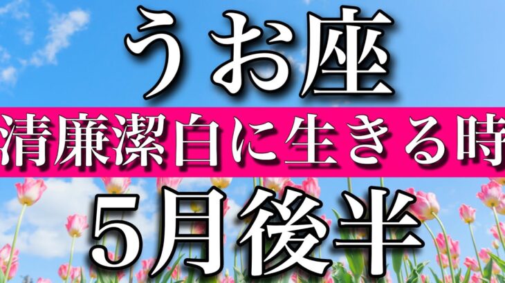 うお座♓︎5月後半　清廉潔白に生きる時 Pisces✴︎late May 2023