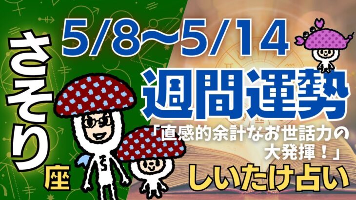 【蠍座】しいたけ占い/2023年5月8日〜5月14日/今週の運勢【ゆっくり解説】