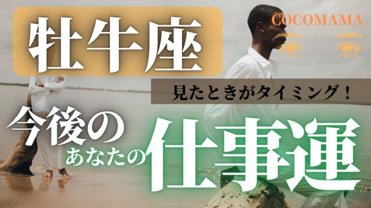 牡牛座♉️ 【お仕事運⭐見たときがタイミング】ココママの怖いほど見えてる👀　個人鑑定級タロット占い🔮