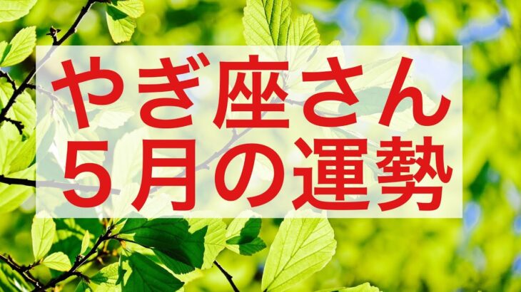 やぎ座さん5月運勢〜過去の傷が最強の力へ進化！