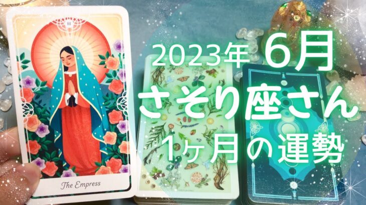 さそり座さん♏️6月の運勢✨全体運・仕事運・人間関係・金運