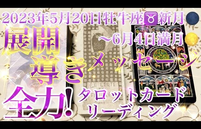 【🌚新月🌑】【✨メッセージ✨】5月20日牡牛座♉️新月🌑〜6月4日満月🌕までの全力‼︎メッセージタロットリーディング🤗流れ、展開、導き、メッセージをお届けします‼︎