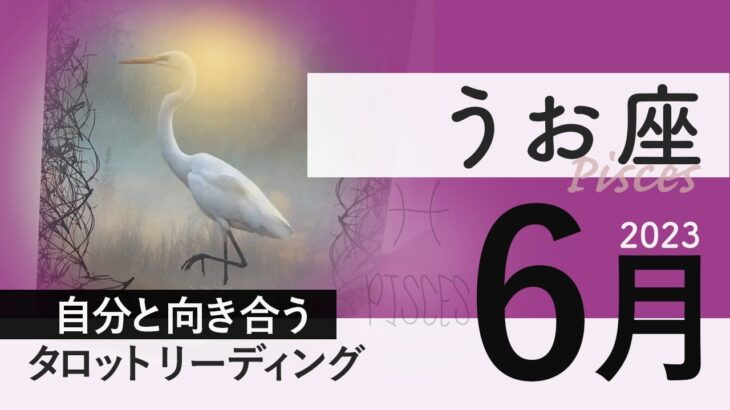 【うお座】はっきり言いますしんどい時です★2023年6月★タロットリーディング★【音声なし】【魚座】