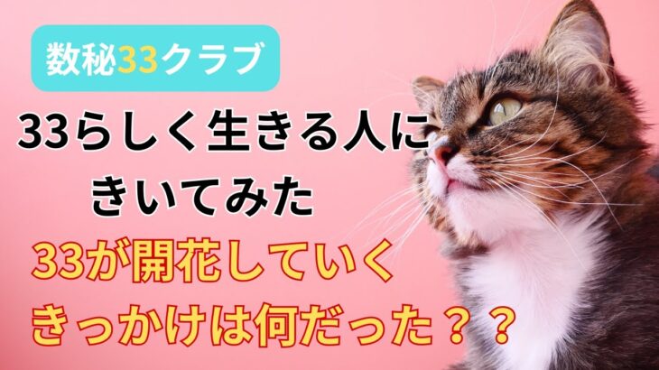 【数秘33クラブ】33らしく生きるみゆきさんへのインタビューの中から、ポイントを少しピックアップしてお届けします。