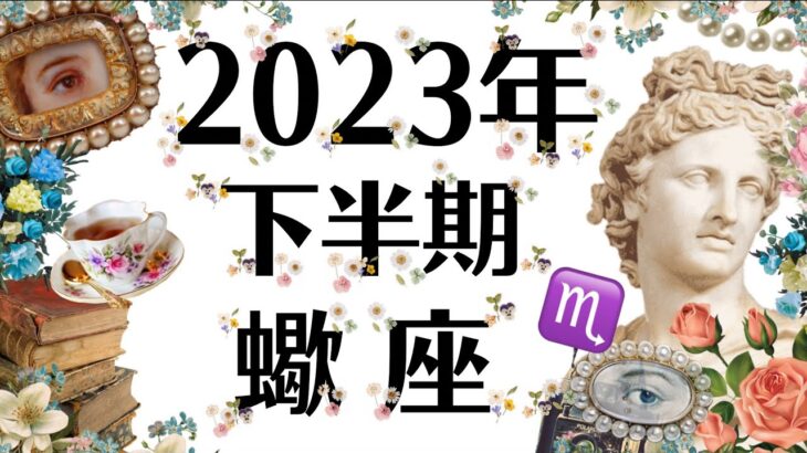 ６月～１２月♏※蠍座は必見。天からのサインが届きまくりの2023年下半期運勢[個人鑑定級タロット]