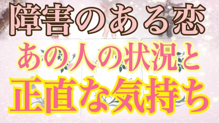 [あの人の本音]障害のある恋💕あの人の今の状況とあなたへの正直な気持ち💕タロット個人鑑定級！