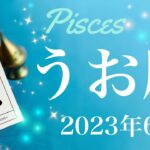 【うお座】2023年6月♓️激変！達成と前進、驚くほど変わる！困難の終息、障害が消え見通しが良くなるとき、信じられる心を再び