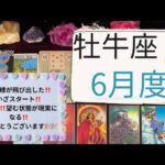 【タロット占い】6月度牡牛座✨いざスタート‼️えー❗️望む状態が現実になる‼️おめでとうございます🎉🎉