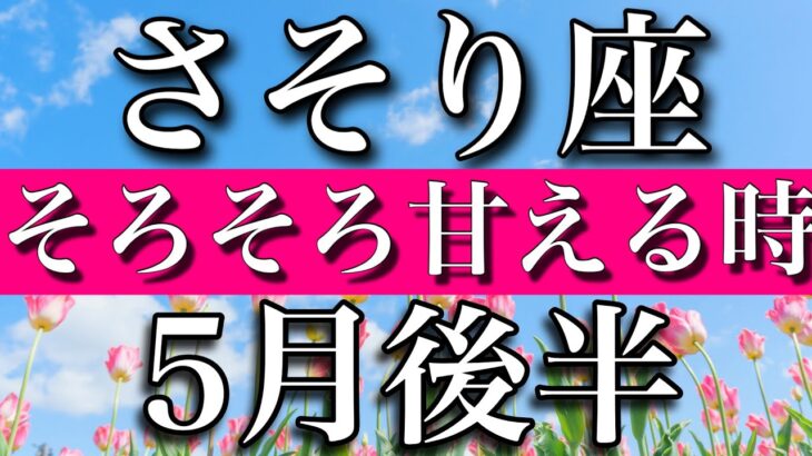 さそり座♏︎5月後半　そろそろ甘える時　Scorpio✴︎late May 2023