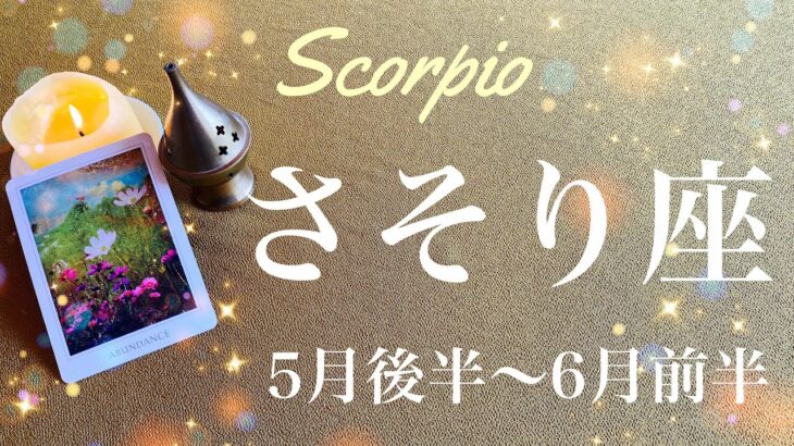 さそり座♏️2023年5月後半〜6月前半🌝始まりのとき！強い追い風が吹いて来る、突然の吉報、溢れる愛