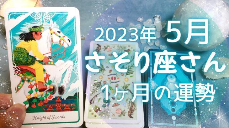 さそり座さん♏️5月の運勢✨全体運・仕事運・人間関係・金運