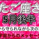 ふたご座⭐️5月後半2023年⭐️“  次の新しい次元に進みます〜”⭐️宇宙からのメッセージ ⭐️シリアン・スターシード・タロット⭐️Gemini ♊️