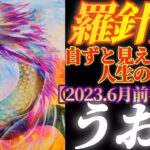 【魚座♓6月前半運勢】アナタ様にとっての最善ルート♪　個を尊重し、自分の心の動きを観察する　不思議とみえてくる人生の指針と目的　✡️4択で📬付き✡️　❨タロット占い❩