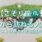 【さそり座♏】〜これから訪れる大変化〜神様のテスト?!恵まれた環境からの脱出!