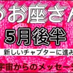 うお座⭐️5月後半⭐️“  全ての人の中の光を見ます〜”⭐️宇宙からのメッセージ ⭐️シリアン・スターシード・タロット⭐️Pisces ♓️