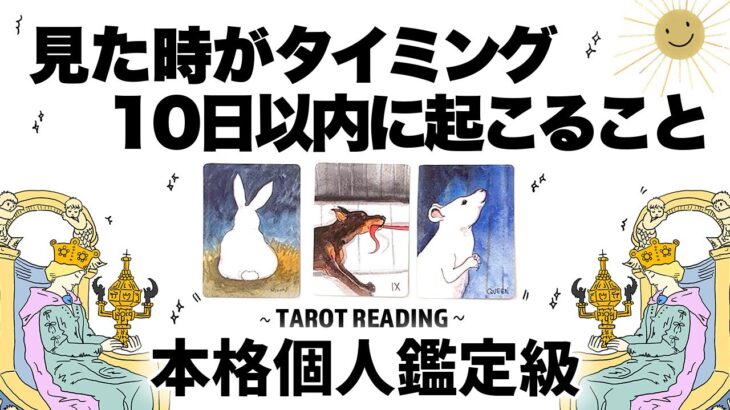 【タロット占い】見た時がタイミング🧚‍♀️✨明日から１０日以内にあなたに起こることを全力リーディング🦄✨✨仕事・恋愛・健康・金運・精神面・達成することなど盛り沢山🍀✨✨【３択占い】