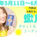 蠍座さん♏️大変化が来るよ！すべて大アルカナの強烈なエネルギー。はじまりは無限の可能性と！強力なご先祖様のサポート、ある愛を感じて♡#さそり座 #蠍座 #12星座別 #タロット #タロットリーディング