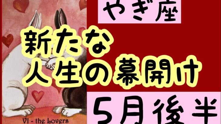 【5月後半の運勢】やぎ座　新たな人生の幕開け！超細密✨怖いほど当たるかも知れない😇#星座別#タロットリーディング#山羊座