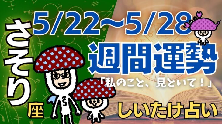 【蠍座】しいたけ占い/2023年5月22日〜5月28日/今週の運勢【ゆっくり解説】