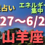 山羊座♑️今週占い（5/27〜6/2）自分の出してるエネルギーに意識して✨小話付き