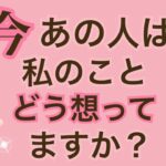 今あの人は私のことどう想ってますか？お相手の気持ち❤️‍🔥👀恋愛タロット占い オラクルカード 片思い 両思い 復縁 複雑恋愛など