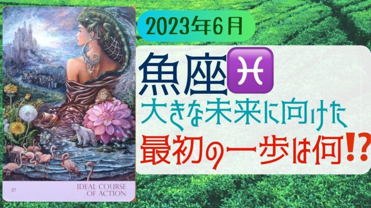 6月魚座🌟未来を見つめるカードが並ぶ😇🌿最初の一歩をどうやって決めますか🥳❣️🌟タロット&オラクル