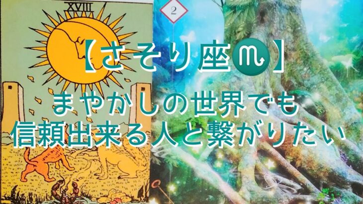 【さそり座♏】願望成就の為に今しておきたい事〜まやかしの世界でも信頼出来る人と繋がりたい〜