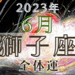 獅子座6月【全体運】🤩キラキラな未来へ向かってGO→→🌈⭐️魔女の月刊リーディング✨