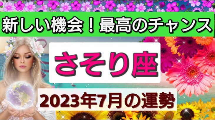 蠍座【2023年７月の運勢】💕新しい機会！最高のチャンスへ👑最高のパートナーに出会う予感！星とカードで徹底リーディング🌸