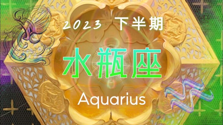 【2023下半期✴︎水瓶座】変わるがわるエネルギー！陰と陽・静と動☯️2極を大切に感じられる半年🤍✴︎🌙