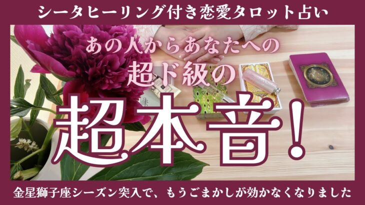 お相手の究極の本音、それはあなたへの意外な愛でした❗️バランガン柏木【シータヒーリング付き恋愛タロット３択占い💗あの人からあなたへの超ド級の超本音！】金星・獅子座入りについてもお話しております🦁