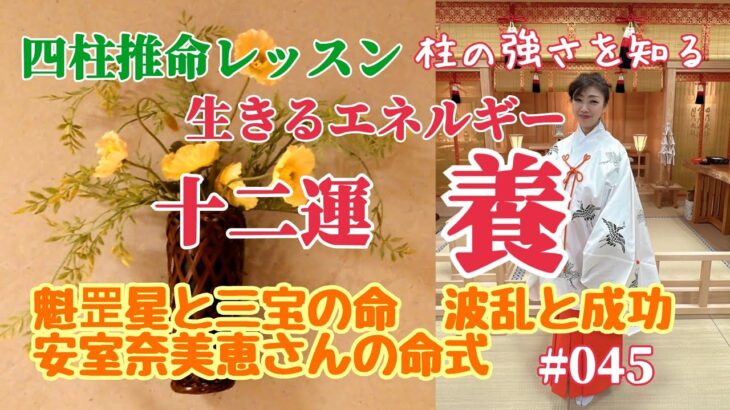 《四柱推命プロ講座#045》十二運  養〜波乱と成功2023年変化あり❓安室奈美恵さんの命式