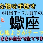 心地よい方へ〜【調和】を大切に🌟蠍座の運勢♏️6月後半〜7月前半リーディング #占い #タロット #蠍座の運勢