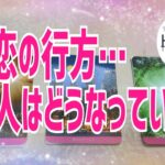 この恋、二人はどうなる🦋恋愛タロット🦋相手の気持ち🦋片思い復縁複雑🦋個人鑑定級占い