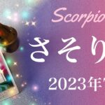 【さそり座】2023年7月♏️トンネルの先の光、見えてくる、和解と祝福、困難が終わりを迎える、答え合わせのとき