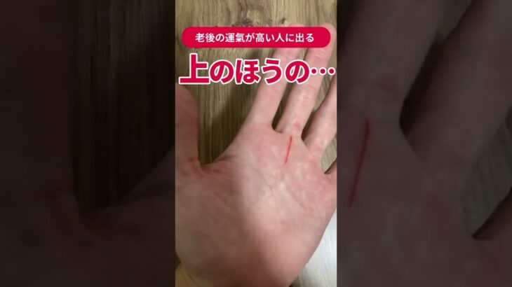 【手相】老後の運氣が高い人に出る… #shorts #手相