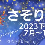 さそり座♏2023下半期【結論に到達！大勢の人に祝われる歓び！】恋愛・結婚・仕事・金運・健康など🌝月星座蠍座も🌟タロットルノルマンカード占い