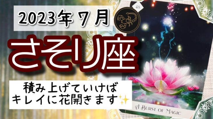 【さそり座♏️2023年7月】🔮タロットリーディング🔮〜これを継続して積み上げていけば、きっとキレイに花開きます✨〜