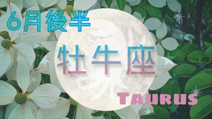 【6月後半✴︎牡牛座】忙しくなる転換点◎新しい場所で新鮮な感覚💙✴︎🌿