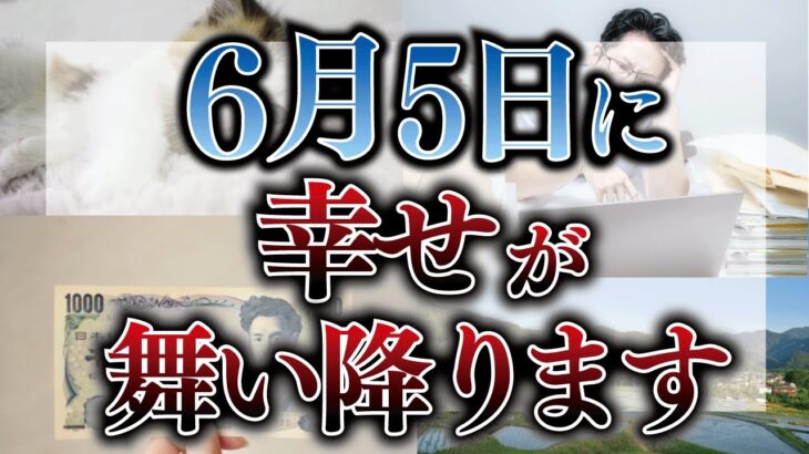 6月5日は年に数回しかない幸運な日。天赦日に開運行動について