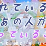 【全選択肢、神展開。】会えない間、あの人は何を思っているの？本気で聞いたらヤバすぎる結果が出てしまった……全選択肢神展開の恋愛リーディング🌸🌰