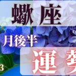 蠍座♏️ 【６月後半の運勢🌈】2023　ココママの怖いほど当たる❣個人鑑定級タロット占い🔮