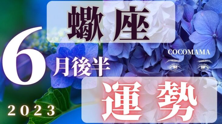 蠍座♏️ 【６月後半の運勢🌈】2023　ココママの怖いほど当たる❣個人鑑定級タロット占い🔮