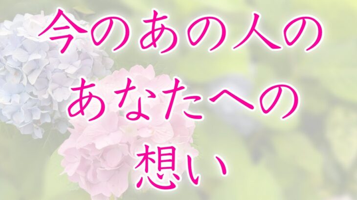 【恋愛】今のあの人のあなたへの想い🦋💕🌼【タロットオラクルルノルマンリーディング】