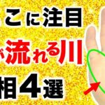 【手相】３万人に１人の強金運！お金の流れる川手相４選【マネーリング・運命投資線】