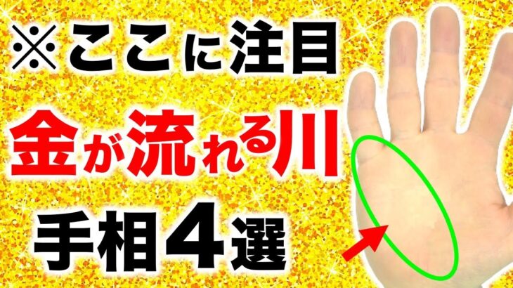 【手相】３万人に１人の強金運！お金の流れる川手相４選【マネーリング・運命投資線】