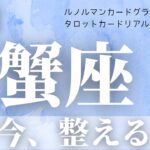 【蟹座】6月起こること〜今、整える〜【恐ろしいほど当たるルノルマンカードグランタブローリーディング＆アストロダイス】