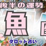 🔮魚座♓️2023年6月後半の運勢、仕事運、金運、恋愛運、人間関係、やったら良い事、現状🌈ガチ占い🔮厳しい内容もあります🌟説明欄見てね🍀タロット占い🔮オラクル❤️