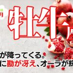 牡牛座♉2023年7月★最適解が降ってくる。驚異的に勘が冴え、オーラが輝く7月。