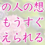 【恋愛】あの人の想い  もうすぐ伝えられる事🦋💕🌼【タロットオラクルルノルマンリーディング】